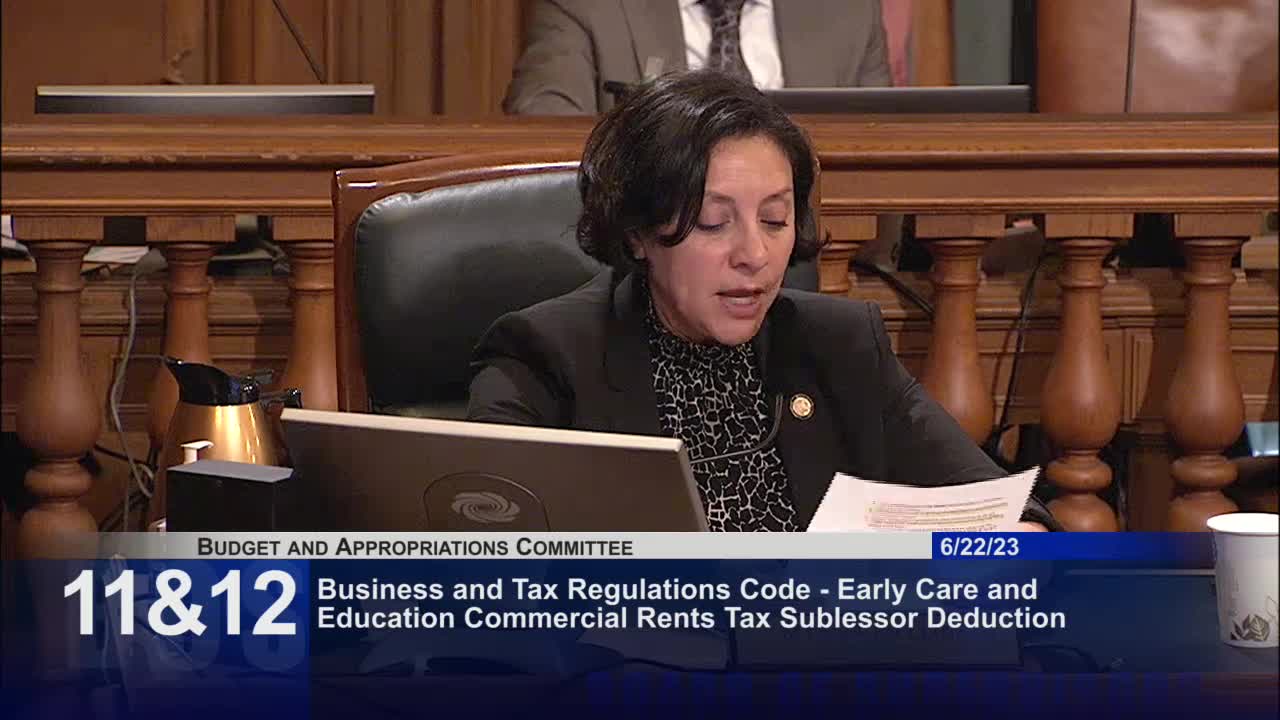 Chair Chan addresses funding challenges for Chinese speaking childcare providers