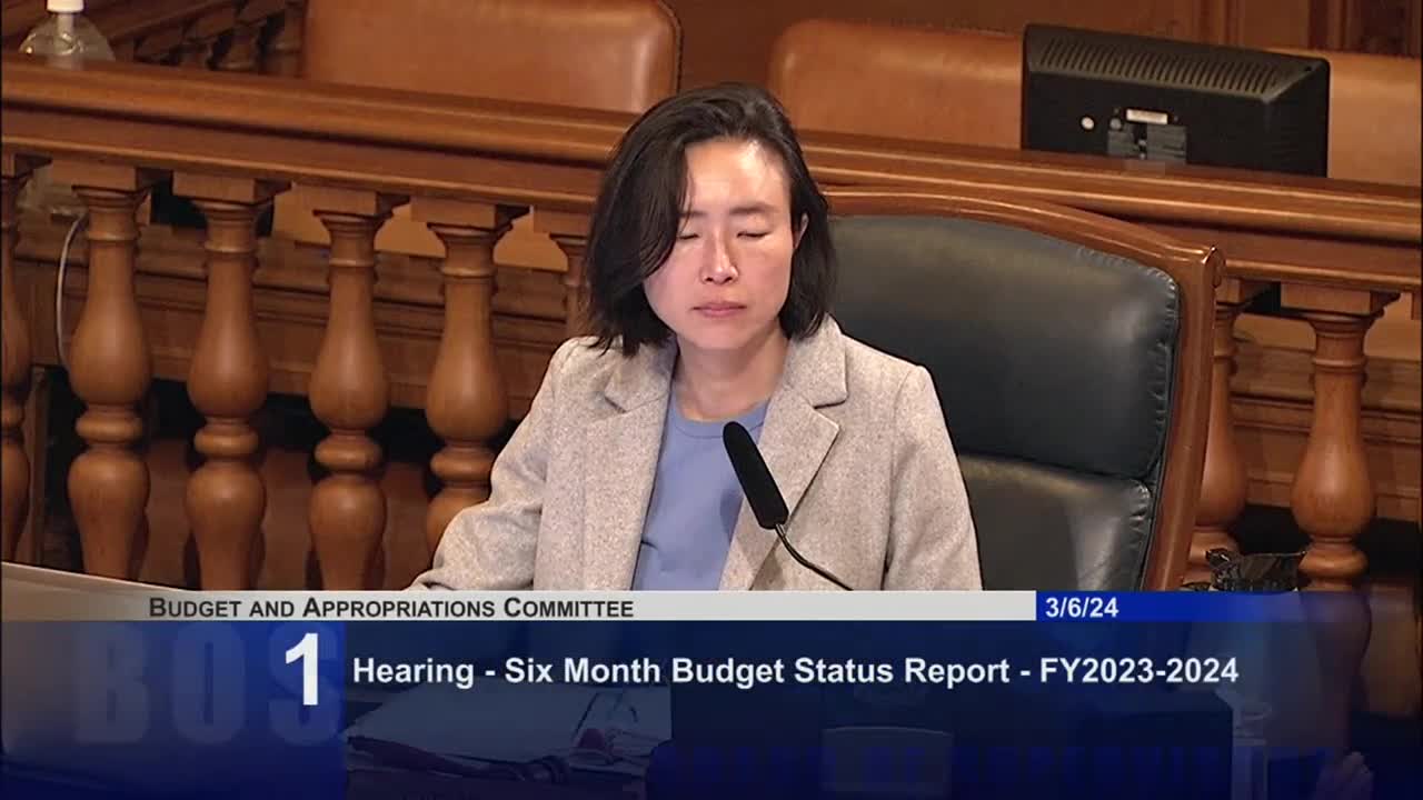 Controller Michelle Alersma updates city on $35M budget improvement for fiscal year 2023-2024