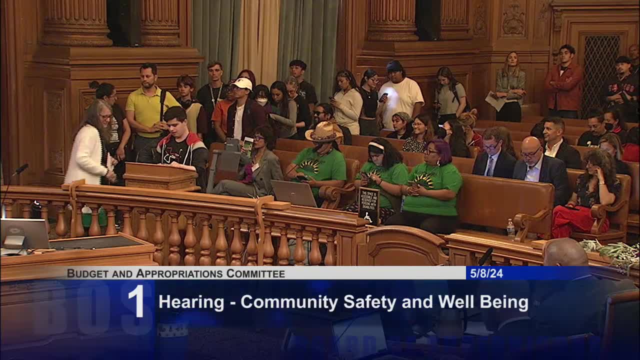 Youth leaders urge San Francisco supervisors to prioritize funding over policing