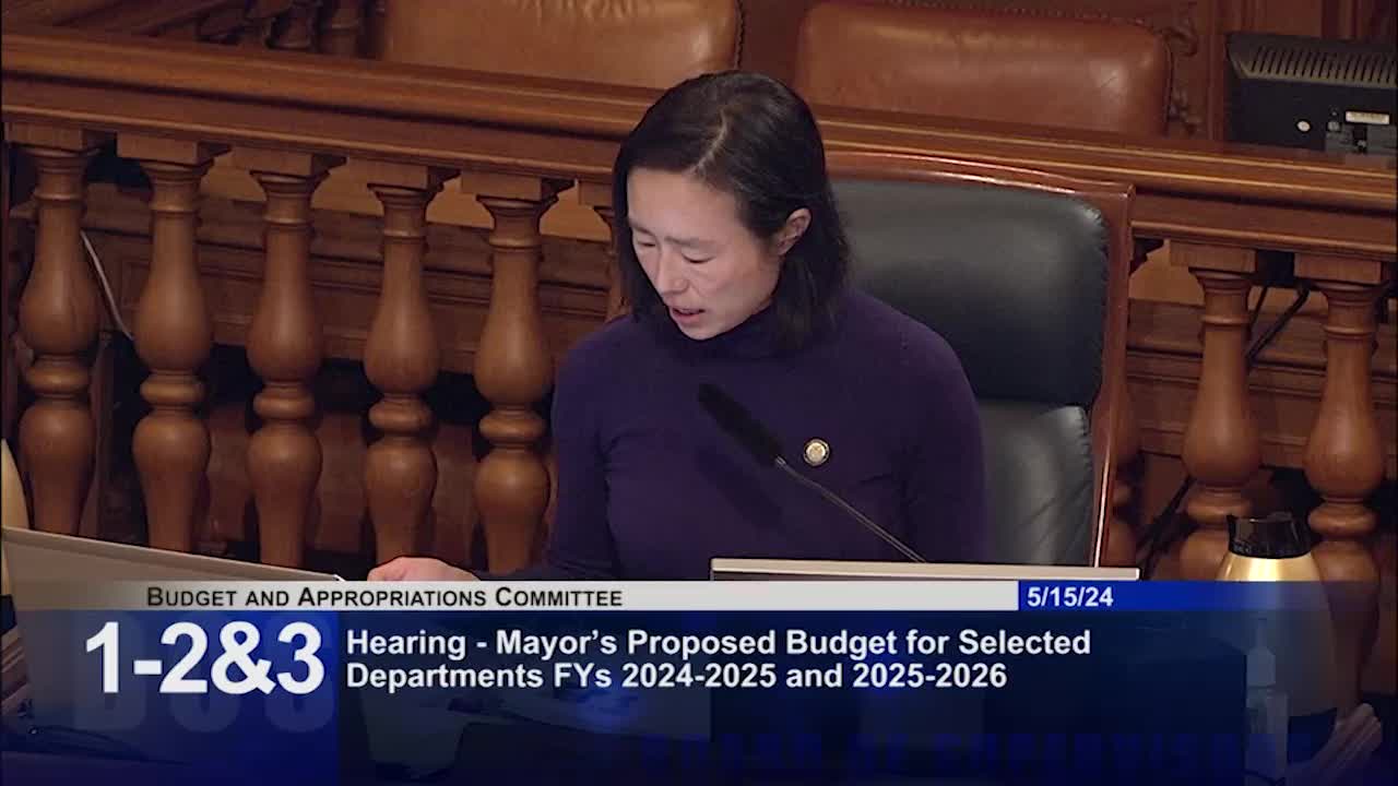 San Francisco supervisors kick off $14B budget process highlighting essential city services