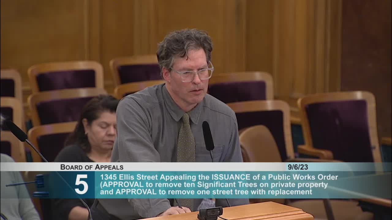 San Francisco reviews significant tree permit applications amidst public safety concerns