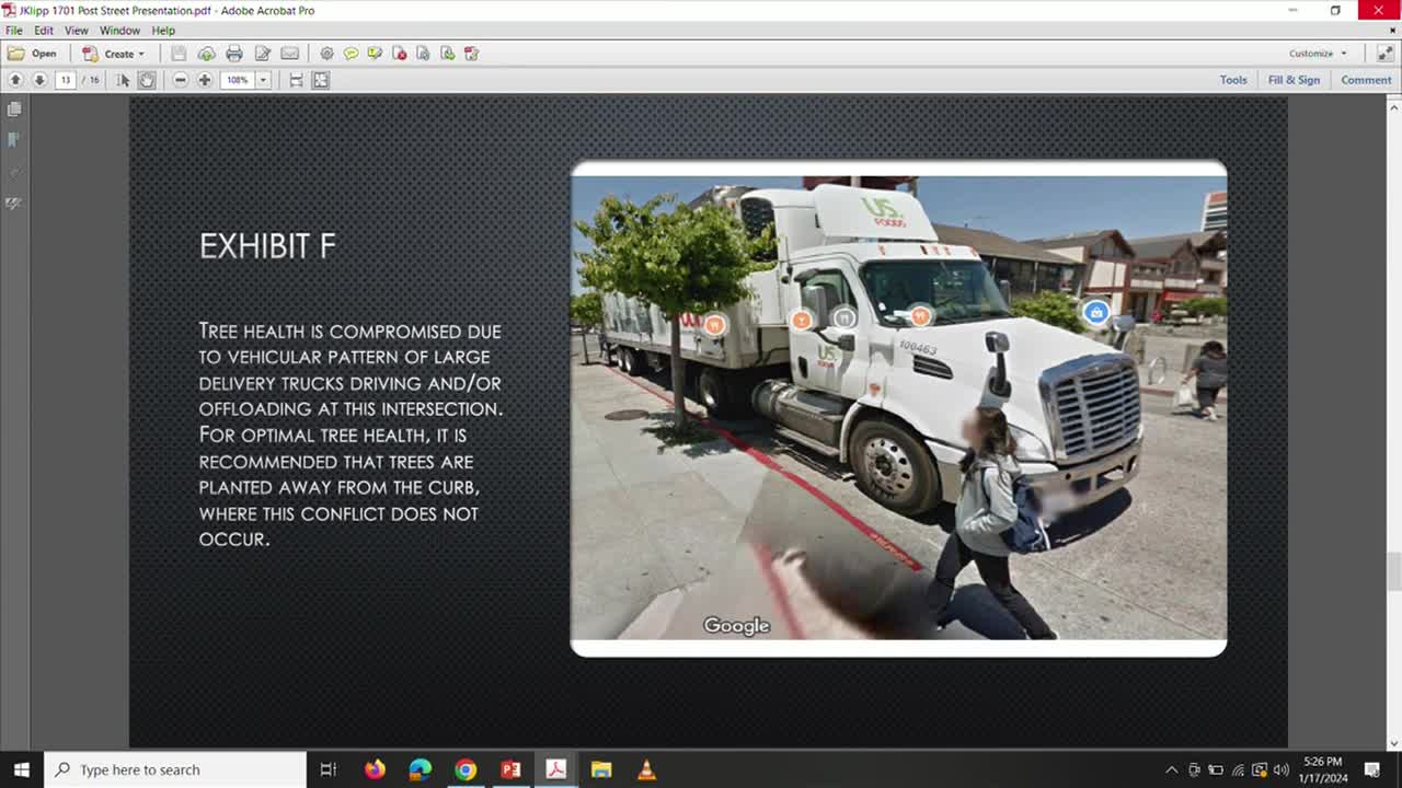 City's Rec Park criticized for neglecting tree preservation strategies