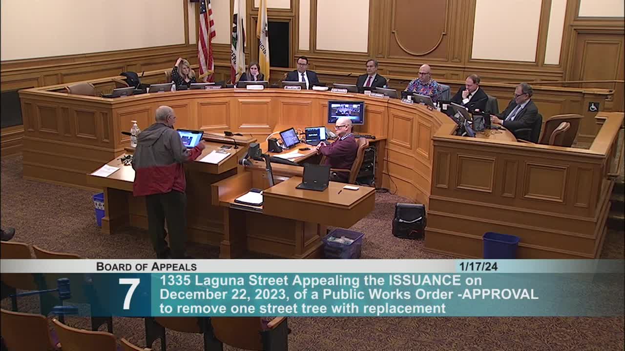 Public Works Bureau defends removal of declining Brisbane box tree at Laguna Street