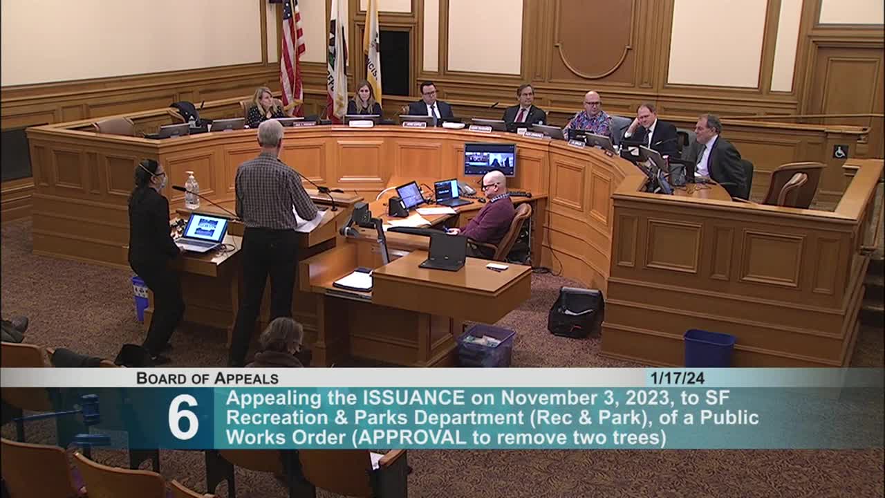 Local Designer Challenges Tree Removal Justification for Plaza Construction