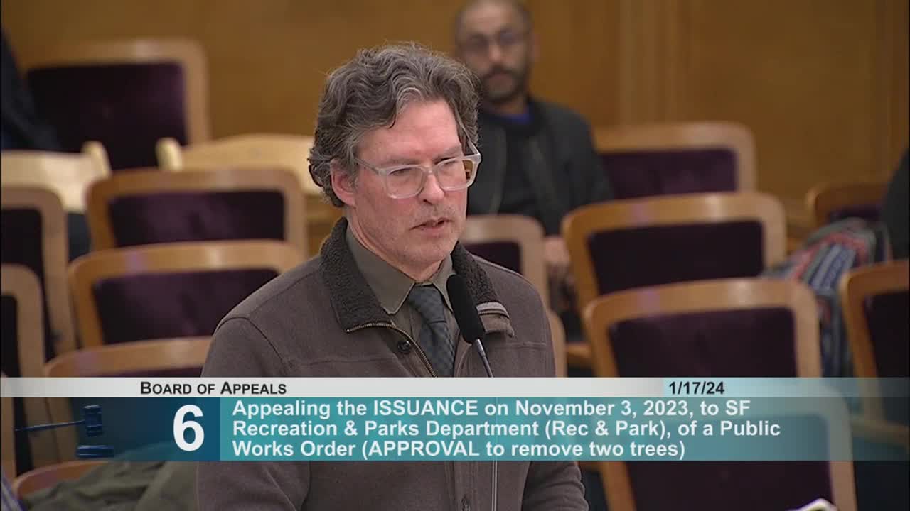 City officials review tree replacement policy amid public safety concerns