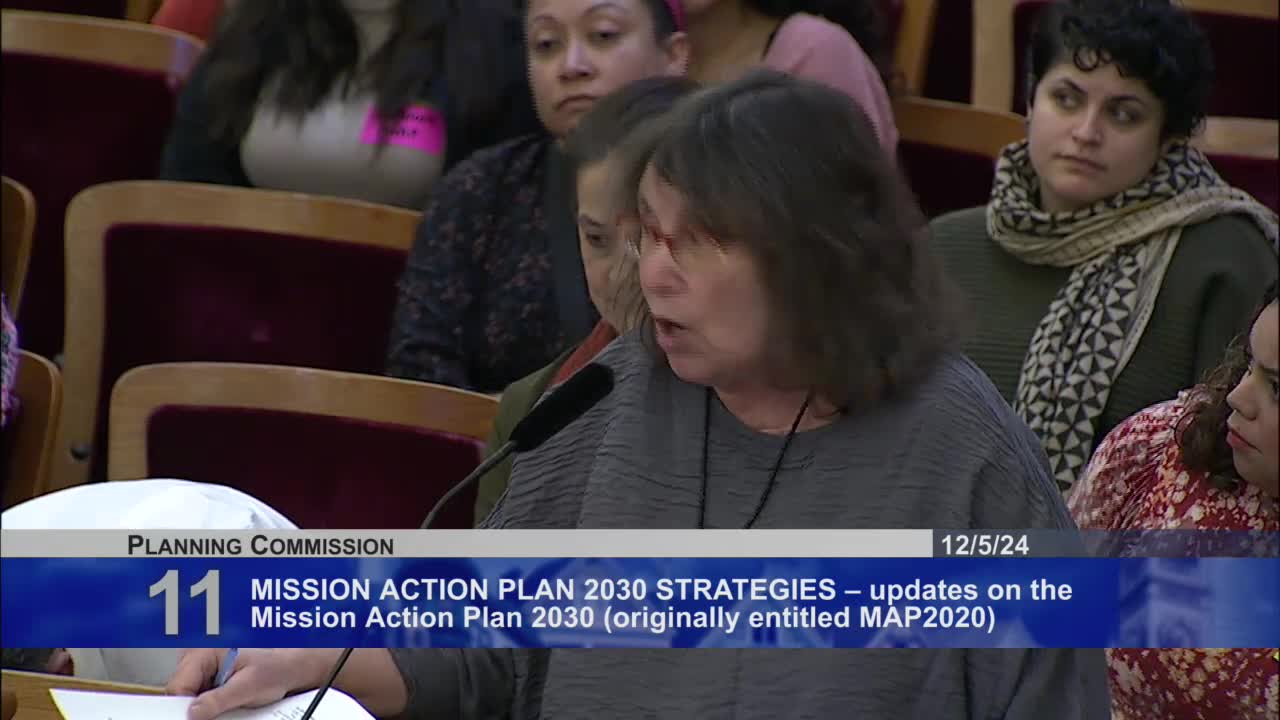 Commission hears support for Mission Action Plan 2030 from local businesses and organizations