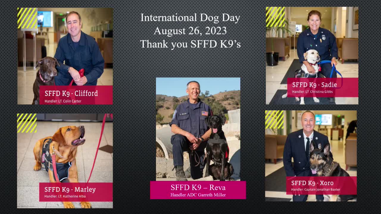 Chief Nicholson promotes community events at Chinatown Night Out and cancer awareness ride