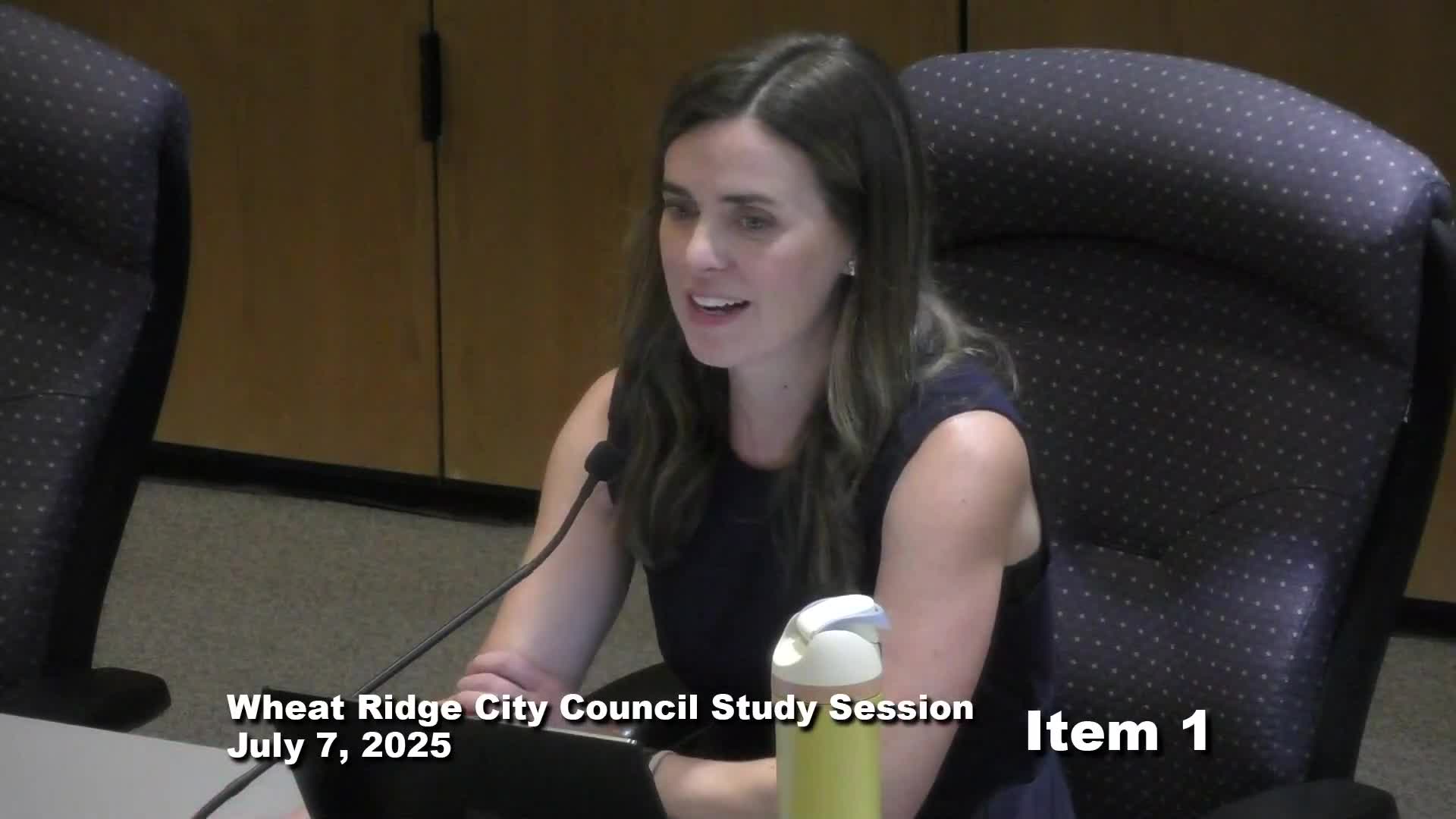 City Council debates housing fund strategies amid developer negotiations on affordability