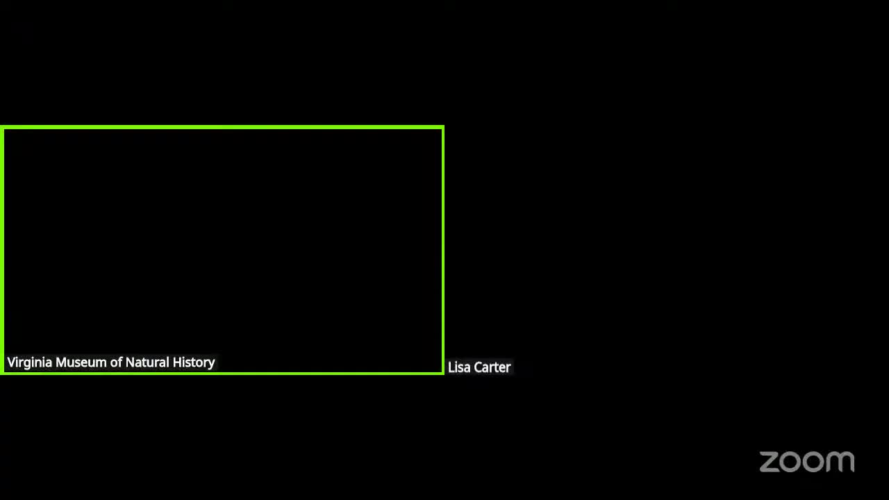 VMNH executive committee unable to take action after quorum shortfall; slate of officers to be presented at trustees meeting