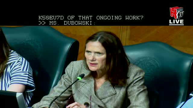 Annette Ramirez presents Houston property tax insights to city council