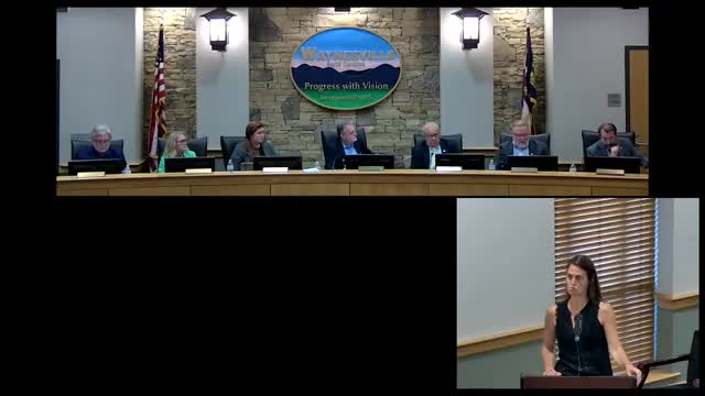 Council discusses technology options for improved business analytics with Placer AI
