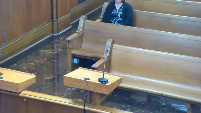 City Council explores IT upgrades to enhance digital access and civic engagement