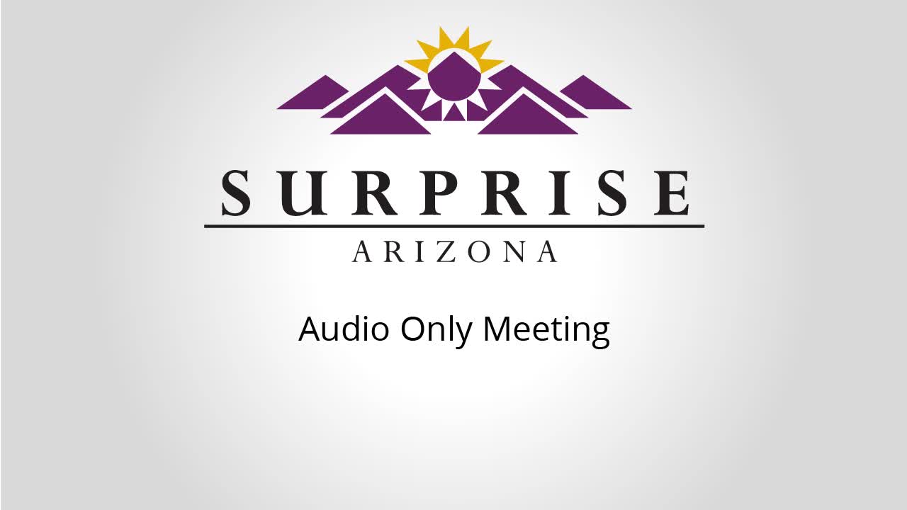 Commission weighs advocacy, outreach and conference training as paths to boost Surprise libraries