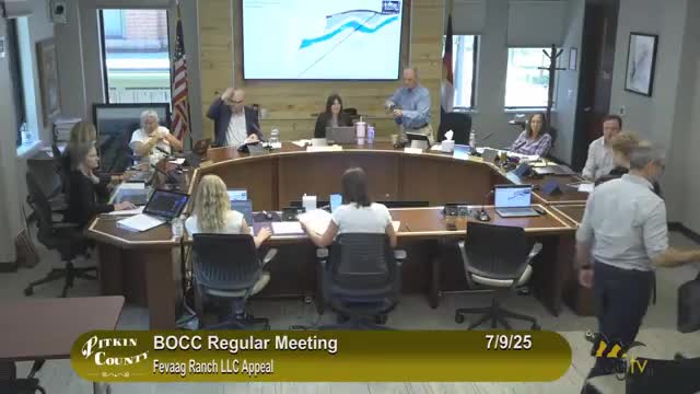 Chris Bridal argues for denied building application in Snowmass appeal hearing