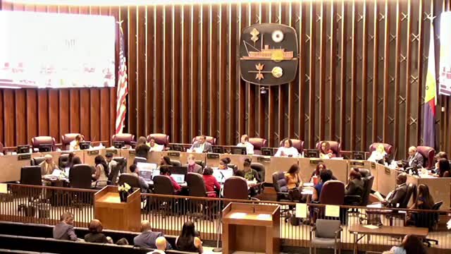 Memphis Park Director Justice Bolden appointed at City Council meeting
