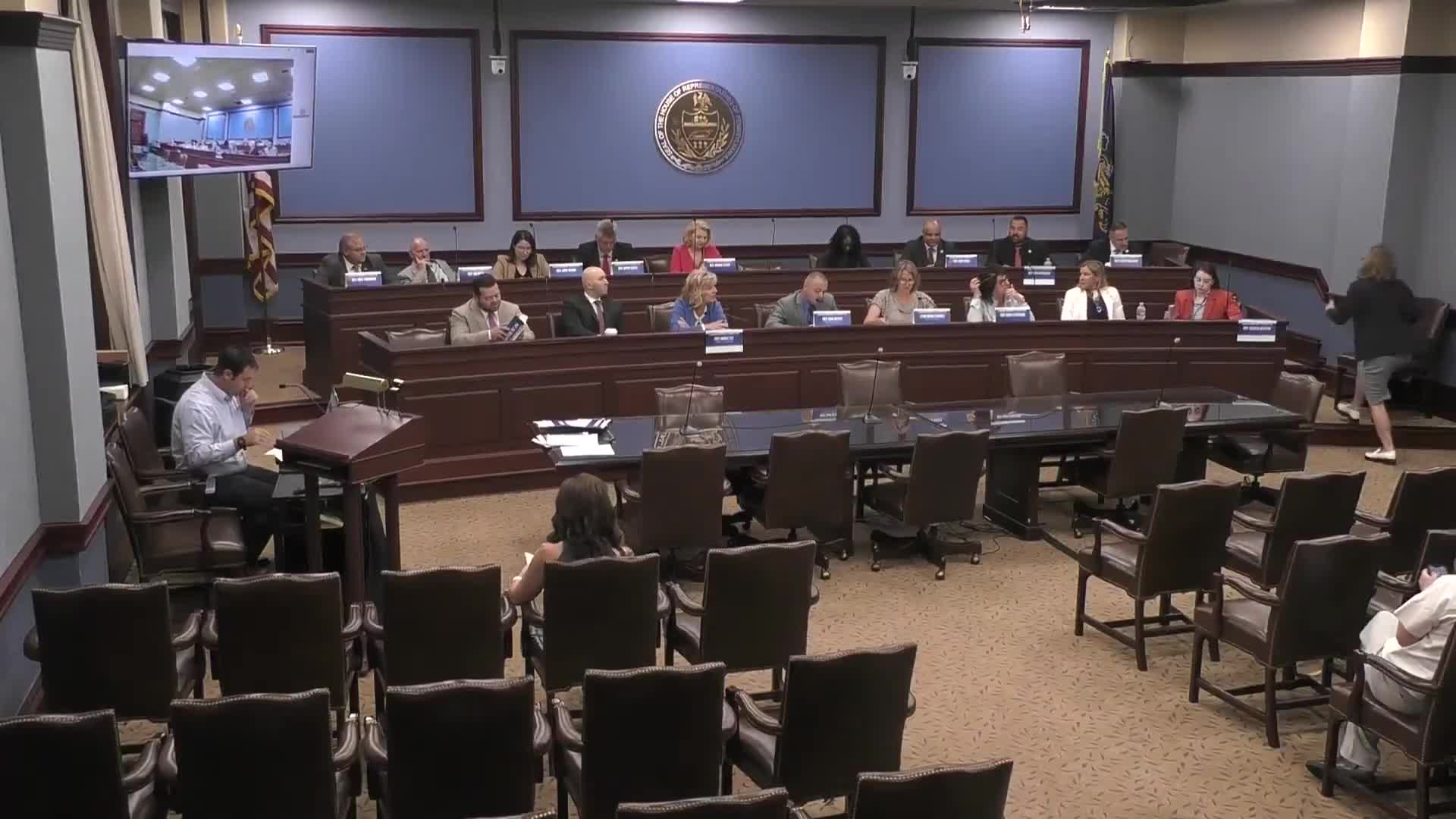 Committee advances bill to let PLCB hold annual "excess" liquor-license auctions with fees, transfer limits