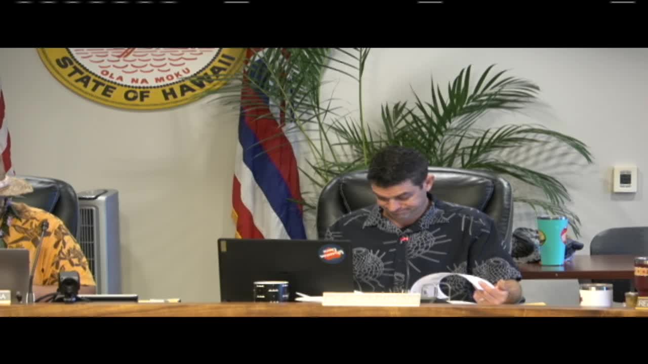 Councilors flag title-guarantee limits as obstacle to clearing tax-delinquent properties