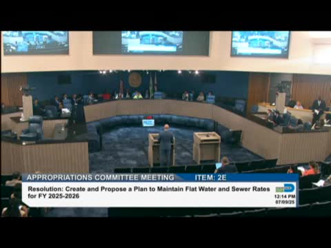 Gonzales moves to support amended housing item during council meeting