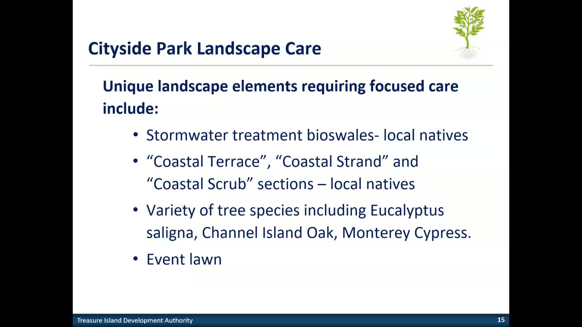 Cityside Park integrates bioswales and diverse native landscaping for ecological restoration