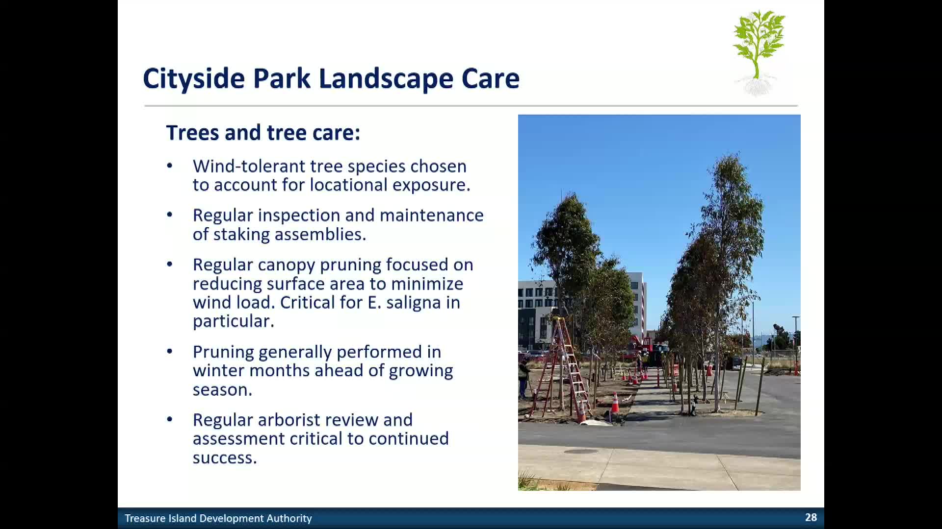 Treasure Island directors approve Cityside Park plans ahead of September opening