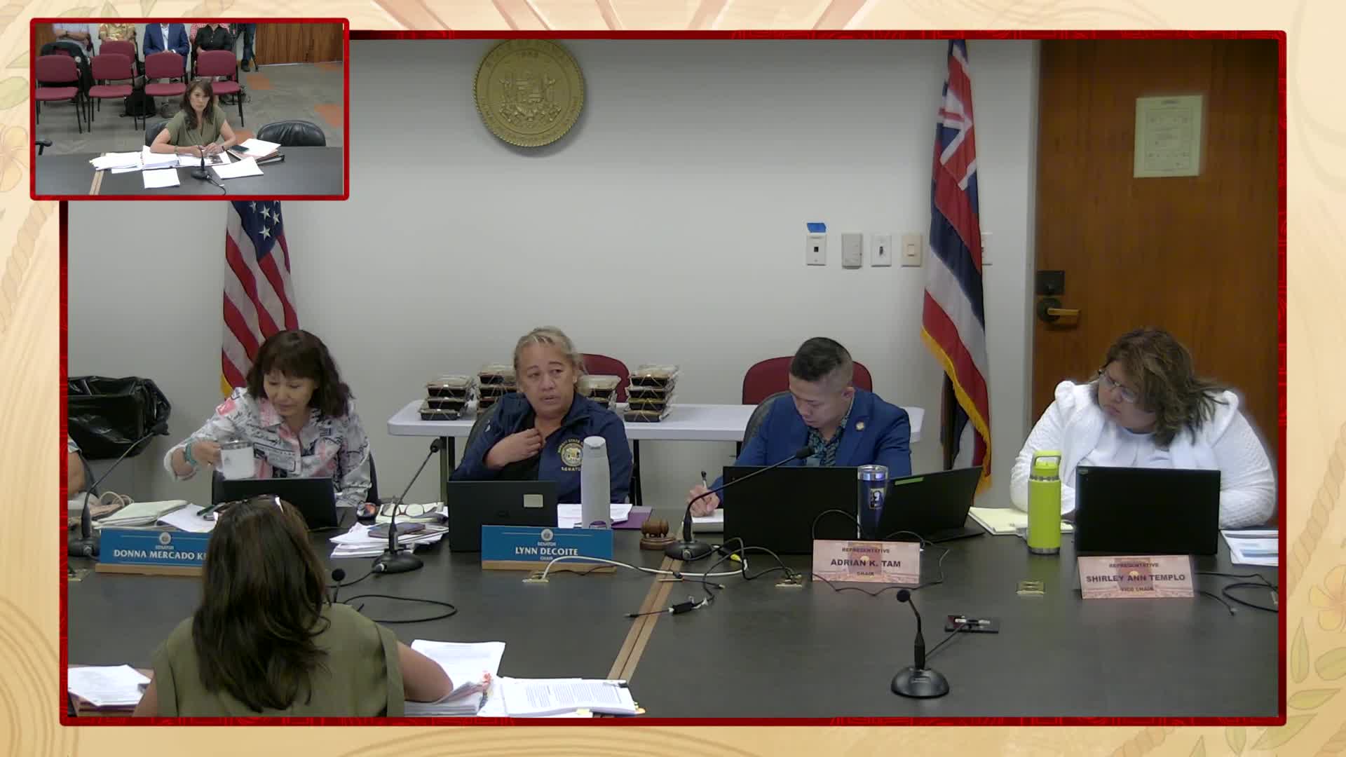 Senate panel discusses flaws in Hawaii's Destination Management Action Plan process