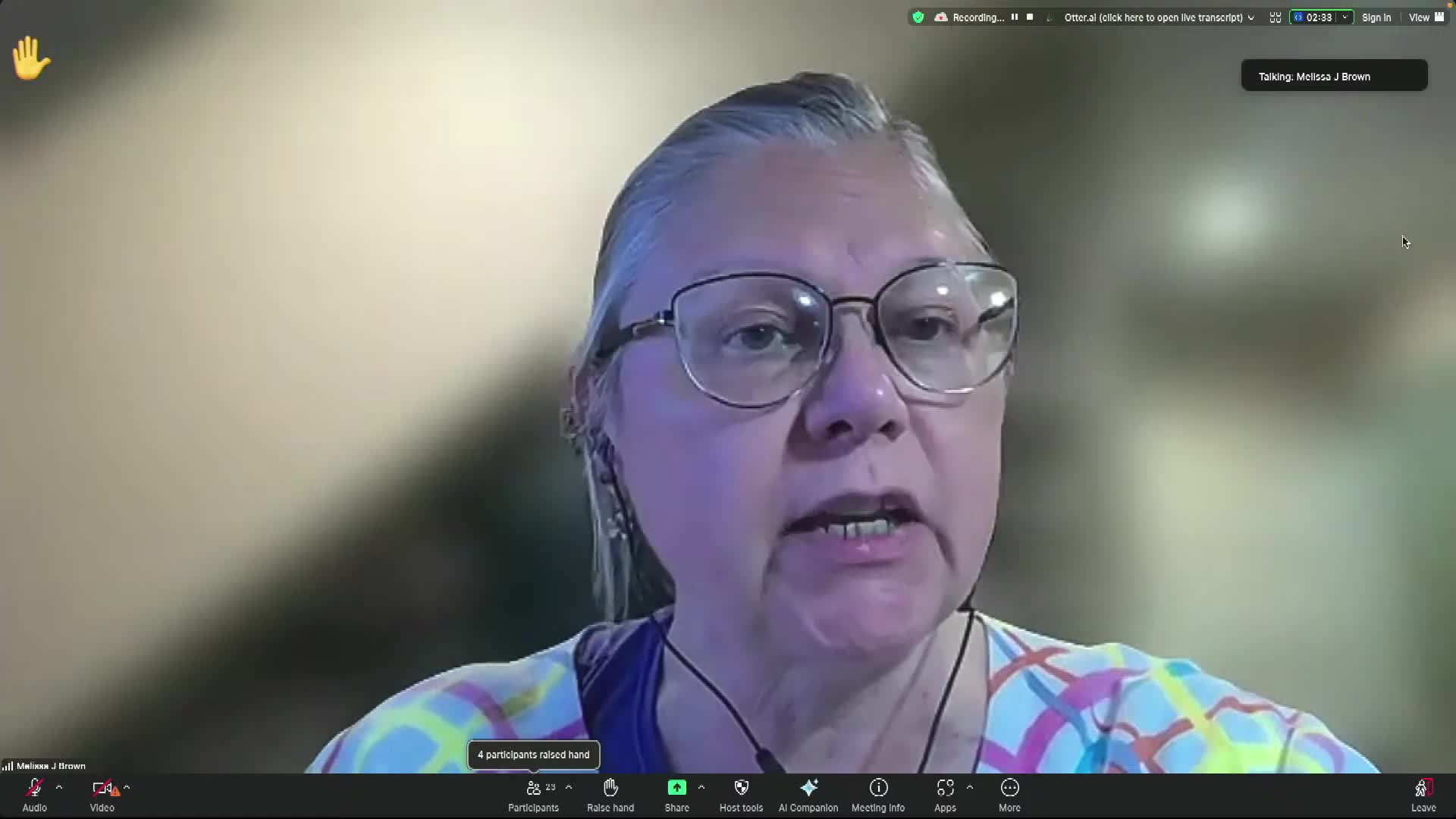 Newton Land Use Committee discusses tree removal and historic preservation concerns