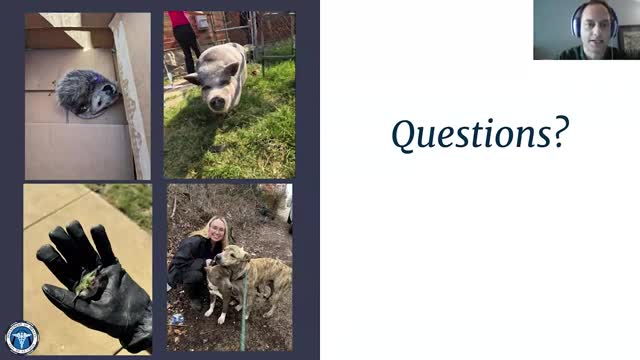 Aldermen discuss CareSTL contract and animal shelter operations in city meeting