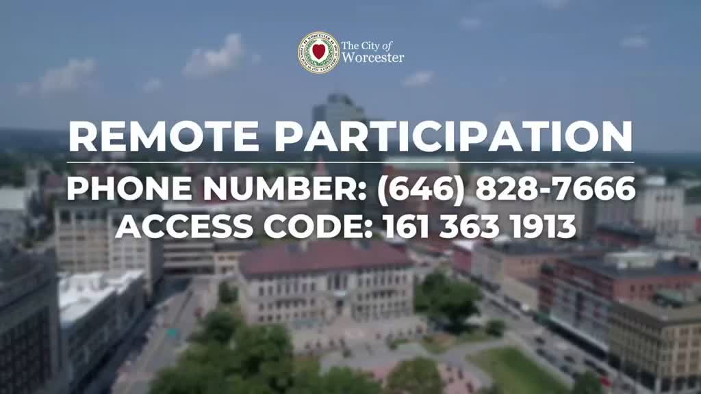 Council and speakers press city manager on DOJ report response and policing reforms