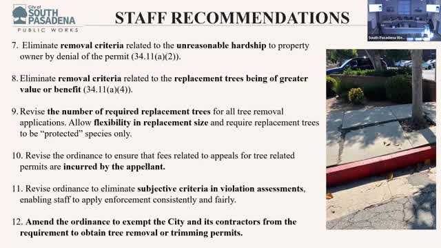 City Council amends tree ordinance to expedite removal of hazardous trees
