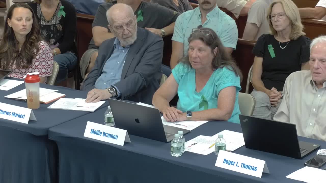Planning Commission considers citizen feedback on county data centers proposal