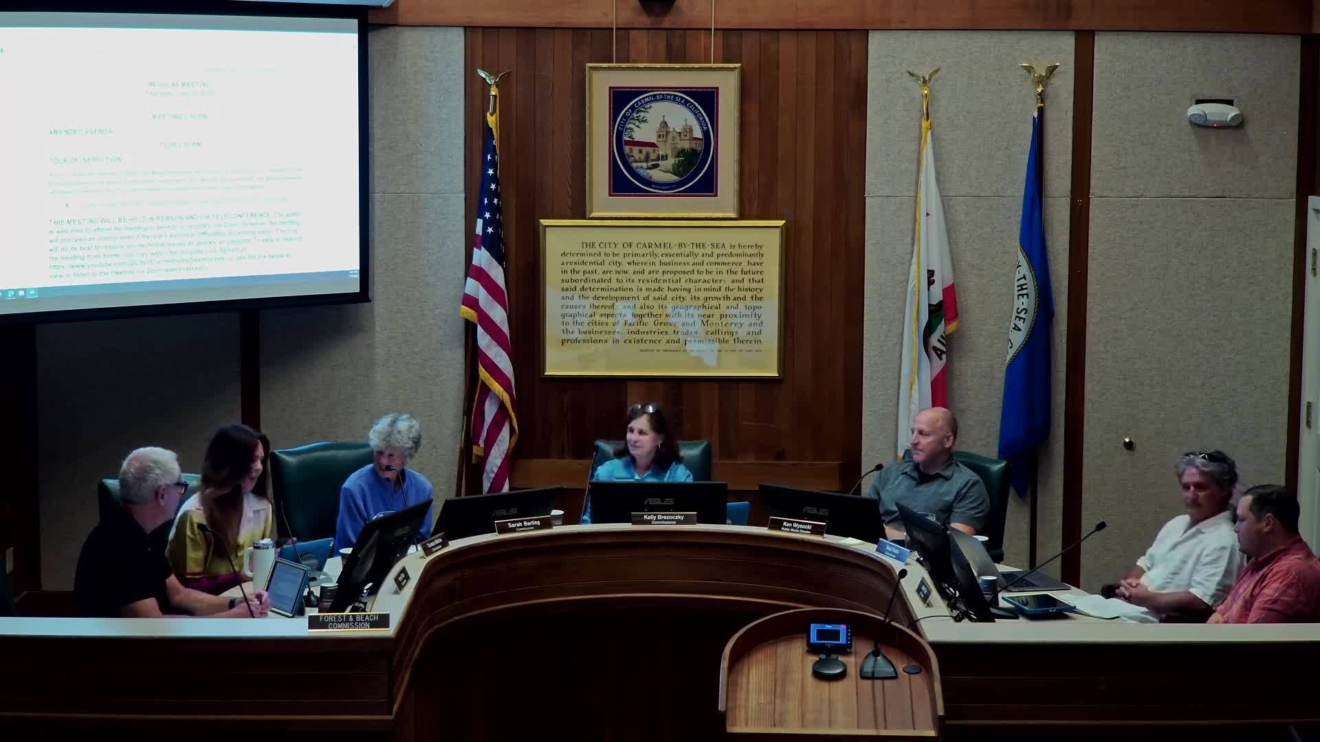 Forest and Beach Commission elects Kelly as new co-chair amid strategic discussions