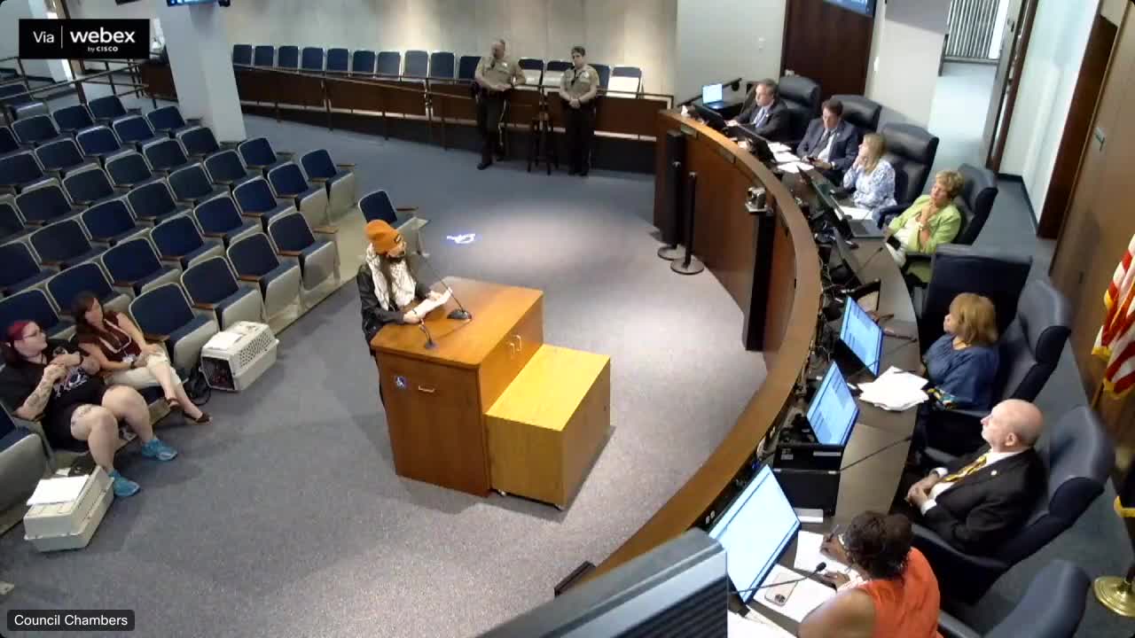 City Council supports Israel amidst escalating Gaza conflict and rising death toll