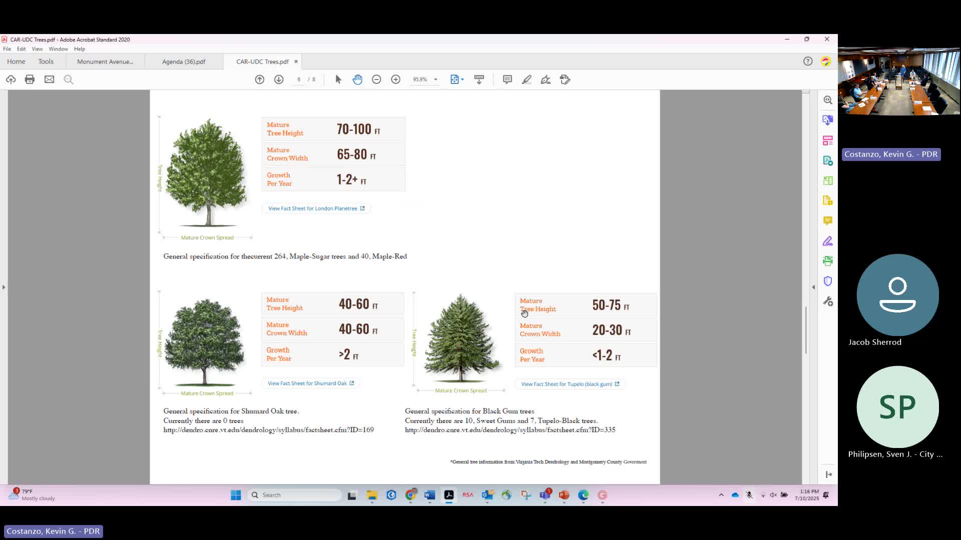 Fan District Association proposes new tree species for street planting plan
