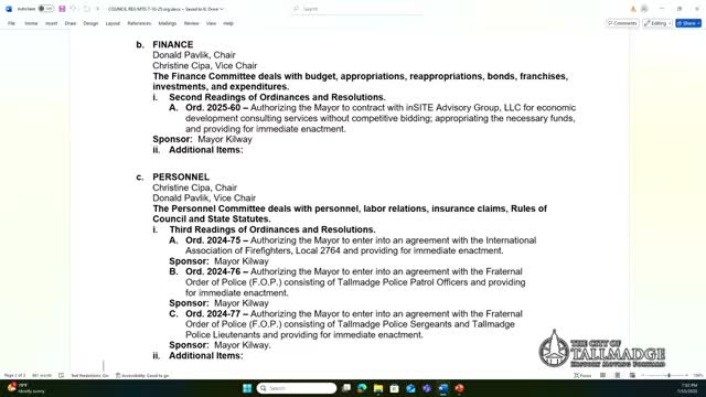 Council hears case to renew Insight Advisory contract, asks for confidential reporting before next vote