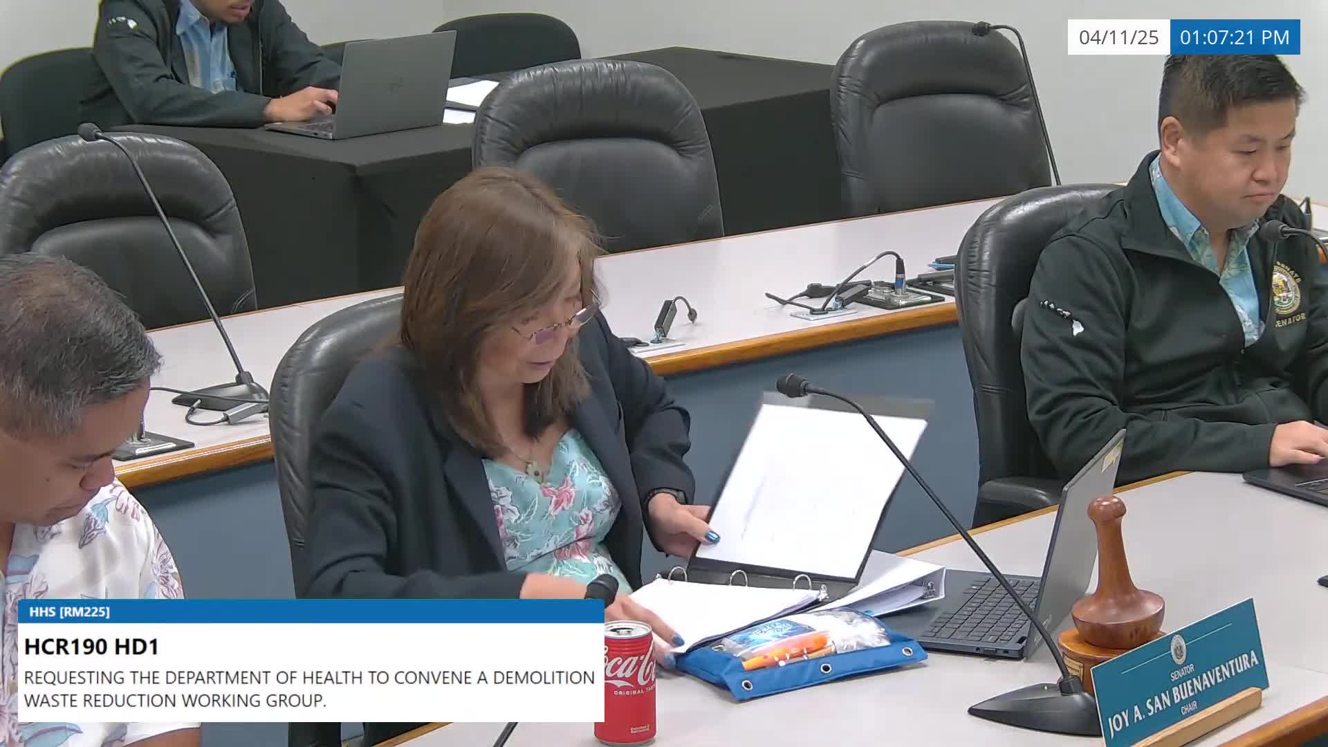 Committee defers resolution on demolition-waste reduction working group pending appropriation