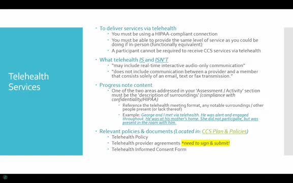 Training outlines telehealth documentation rules for new providers