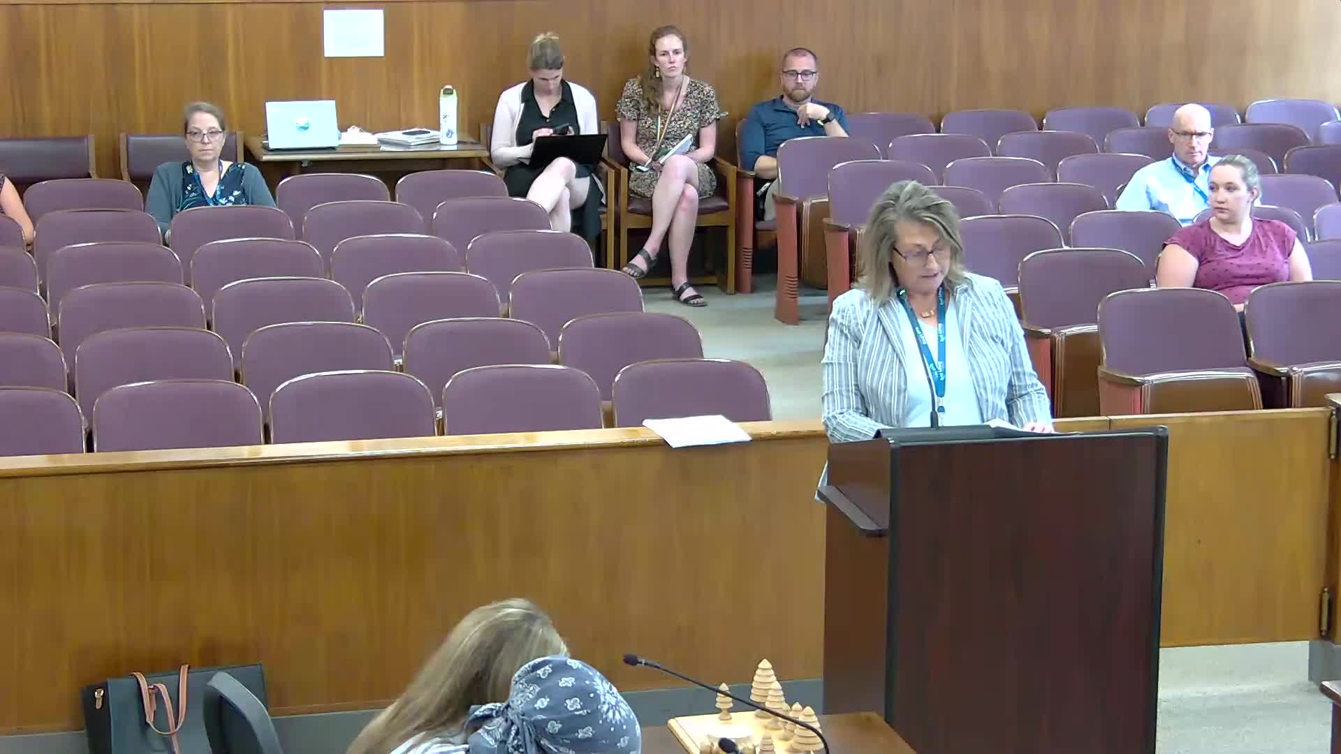 Lewis County DSS discusses armed security amid growing safety concerns