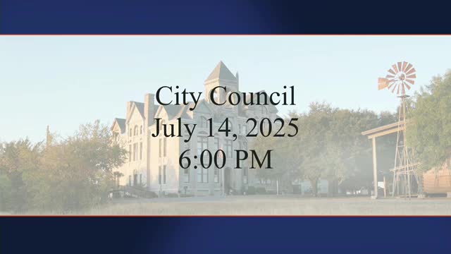 Decatur City Council and Charter Review Committee finalize revisions for city governance