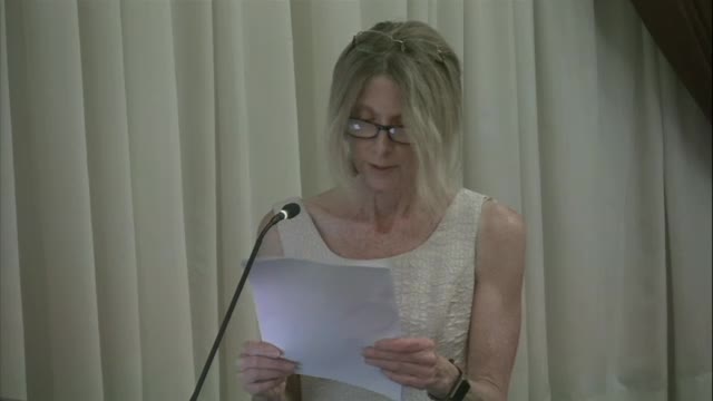 Chris Taylor criticizes CRA's landscaping project for horse drawn carriage business in St. Augustine