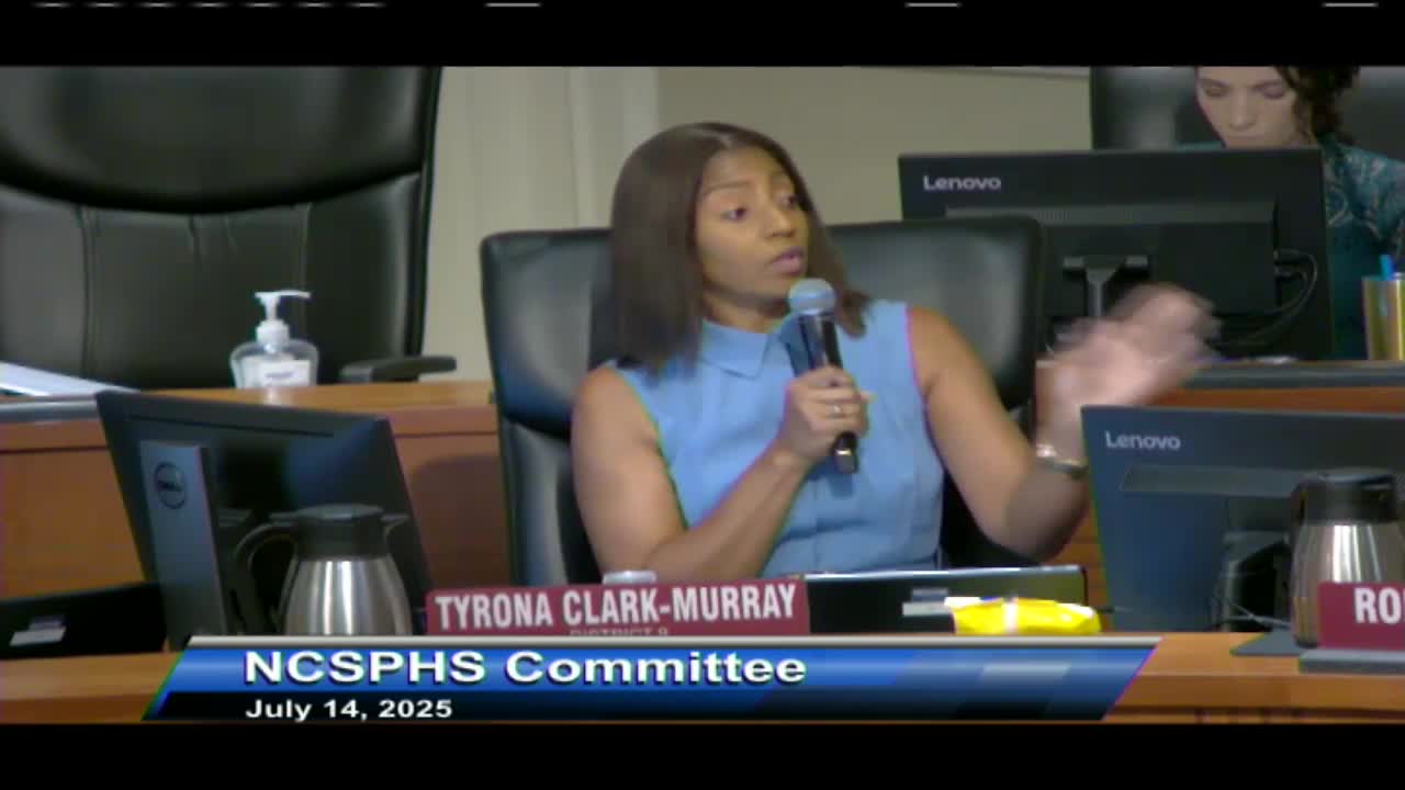 City Council debates $500,000 funding request amid audit concerns from Viseli Foundation