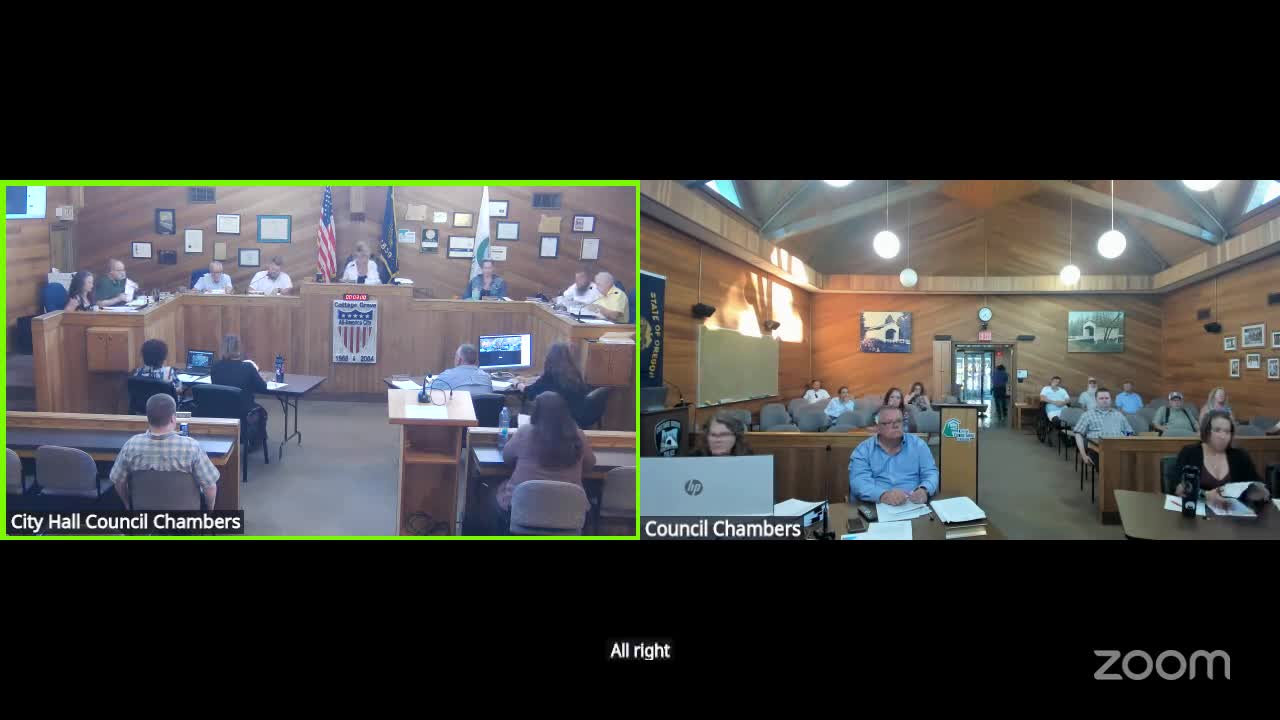Public hearings proceed amid technical difficulties for Counselor Mary Day