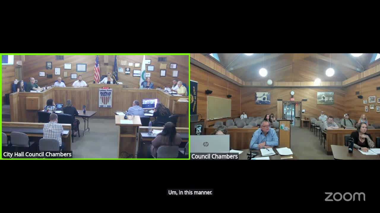 City council addresses alleyway vegetation issues and pedestrian safety concerns