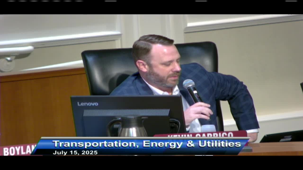 City Council committee reestablishes leadership with new member Rockman Johnson