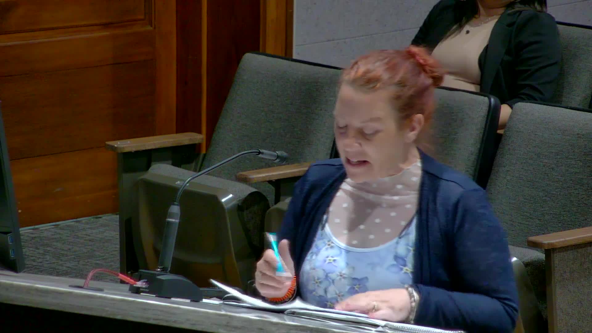 Council recommends reallocating funds to homeless outreach and tiny home development