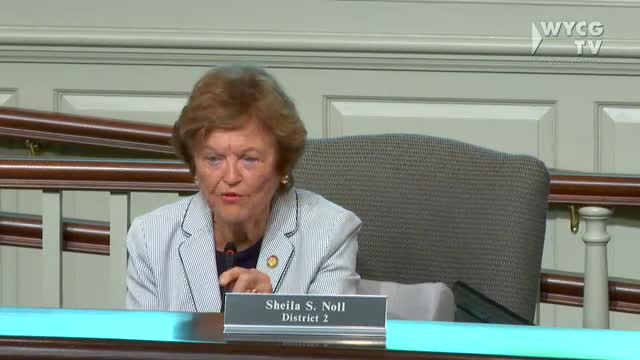 Pam Pujot criticizes Trump for ties to Epstein during public comments