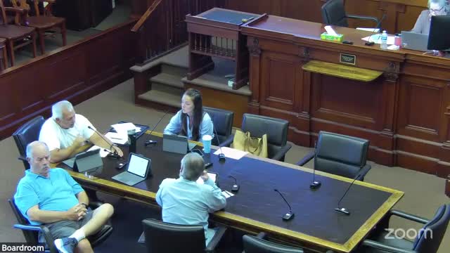 Dixon Township faces assessor shortage as county plans GIS licensing costs