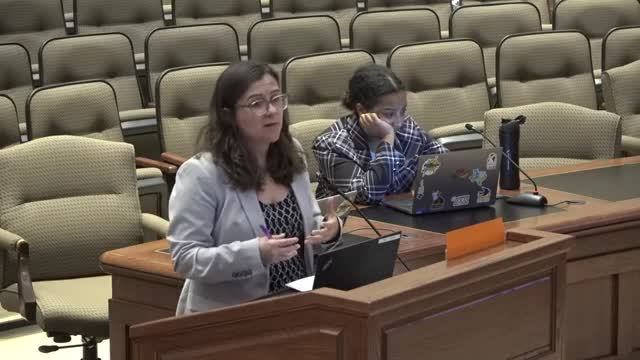Lewisville Considers Short Term Rental Cap Increase Amid Community Concerns