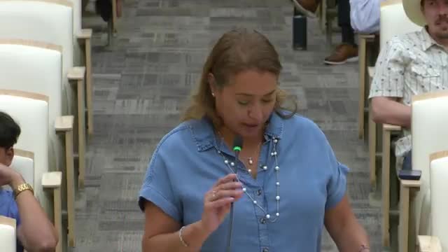 District 1 Councilwoman Caballero Proposes Streamlining Public Comment Procedures