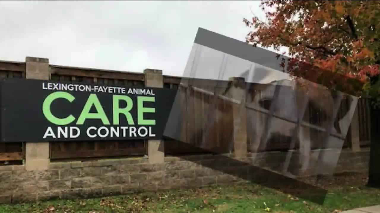 Lexington Animal Control Encourages Community to Report Animal Distress Calls