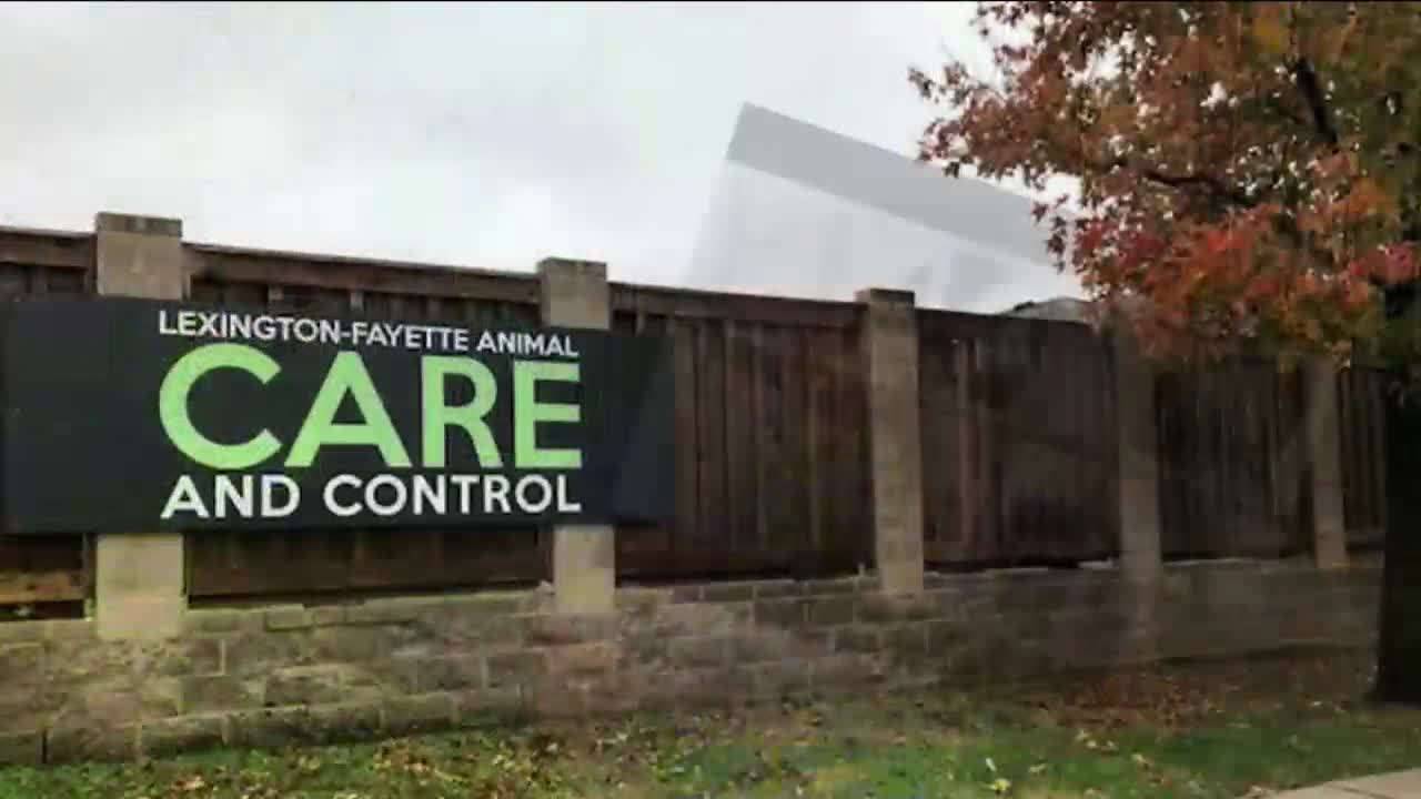 Lexington Animal Control Promotes Community Reporting for Animal Welfare Concerns